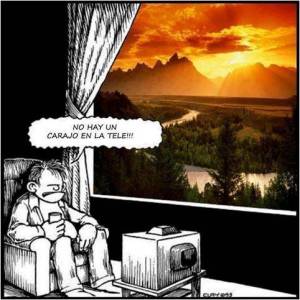 fijar la atención en lo importante